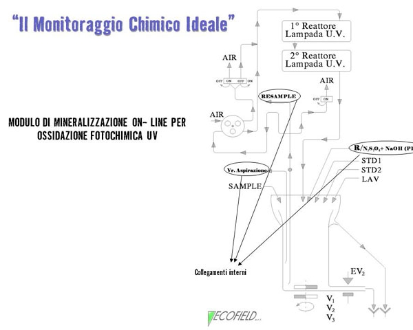 Diapositiva12